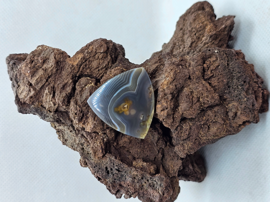 Timor Agate AG-x-x-00218