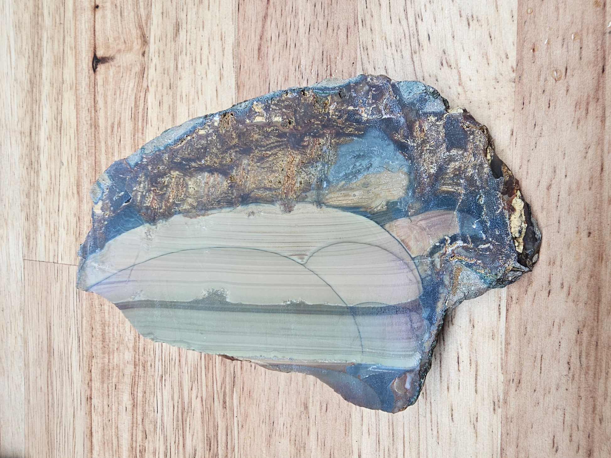 Blue Mountain Jasper JA-x-00149