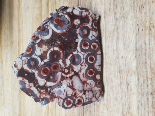 Birds Eye Rhyolite WS-x-00006