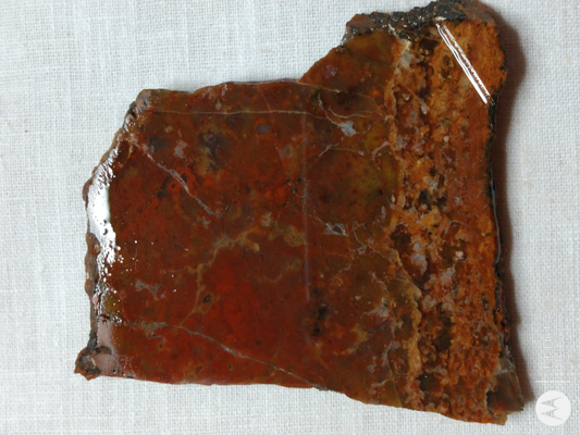 Petrified Wood PW-00006-08a