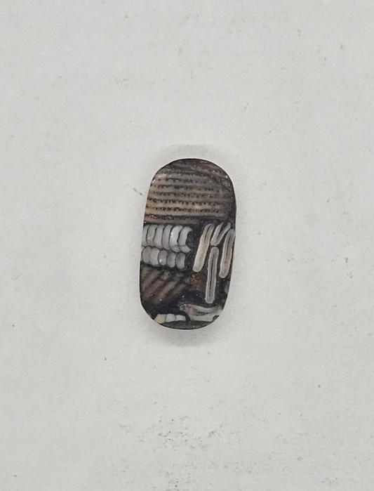 Biggs Picture Jasper Snakeskin FS-x-x-00134