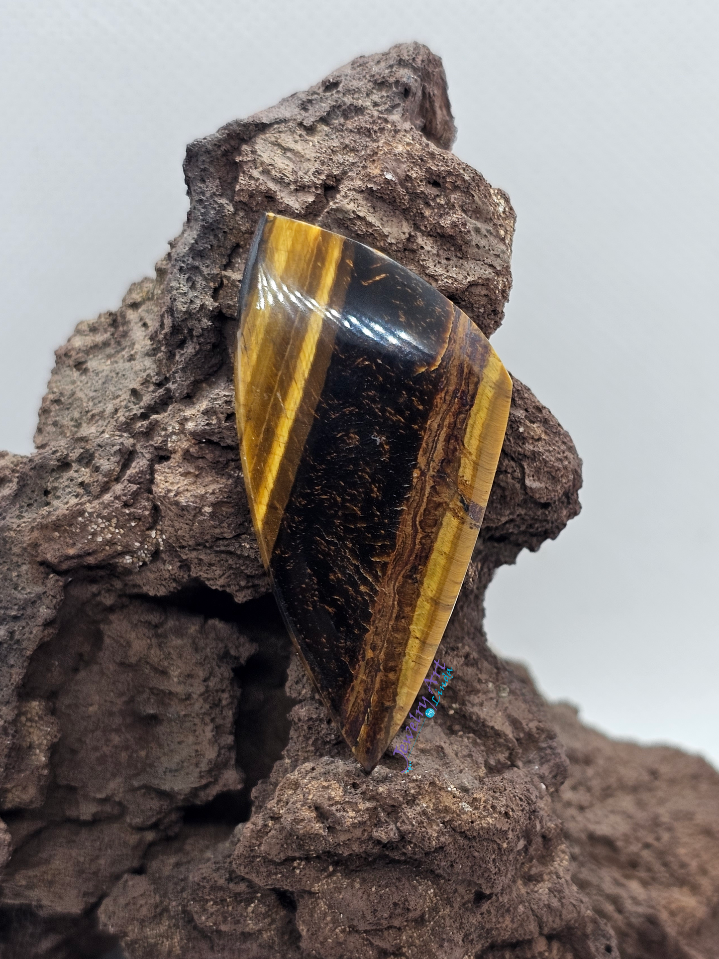 Tigers eye OT-x-x-00159