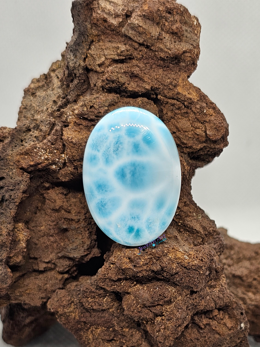 Larimar AAA+ LR-x-x-00290