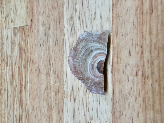 Kodachromsite OT-x-00230