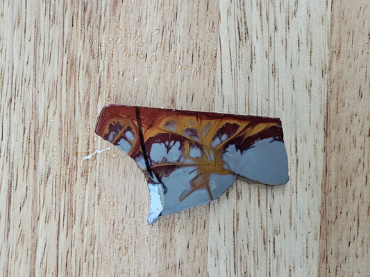 Noreena Jasper JA-x-00181