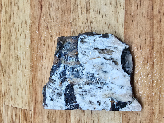 White Buffalo OT-x-00269