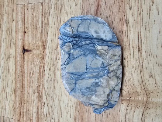 Pacific Coast Picasso OT-x-00280