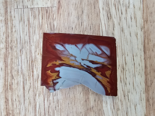 Noreena Jasper JA-x-00184