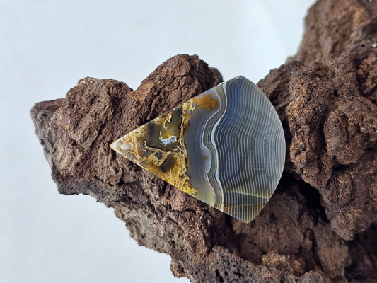 Timor Agate AG-x-x-00215