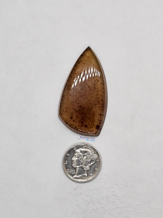 Baltic Amber FS-x-x-00148