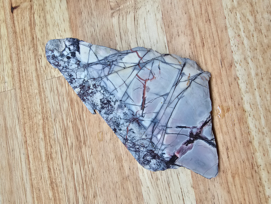 Porcelain Jasper Sci-Fi JA-x-00125