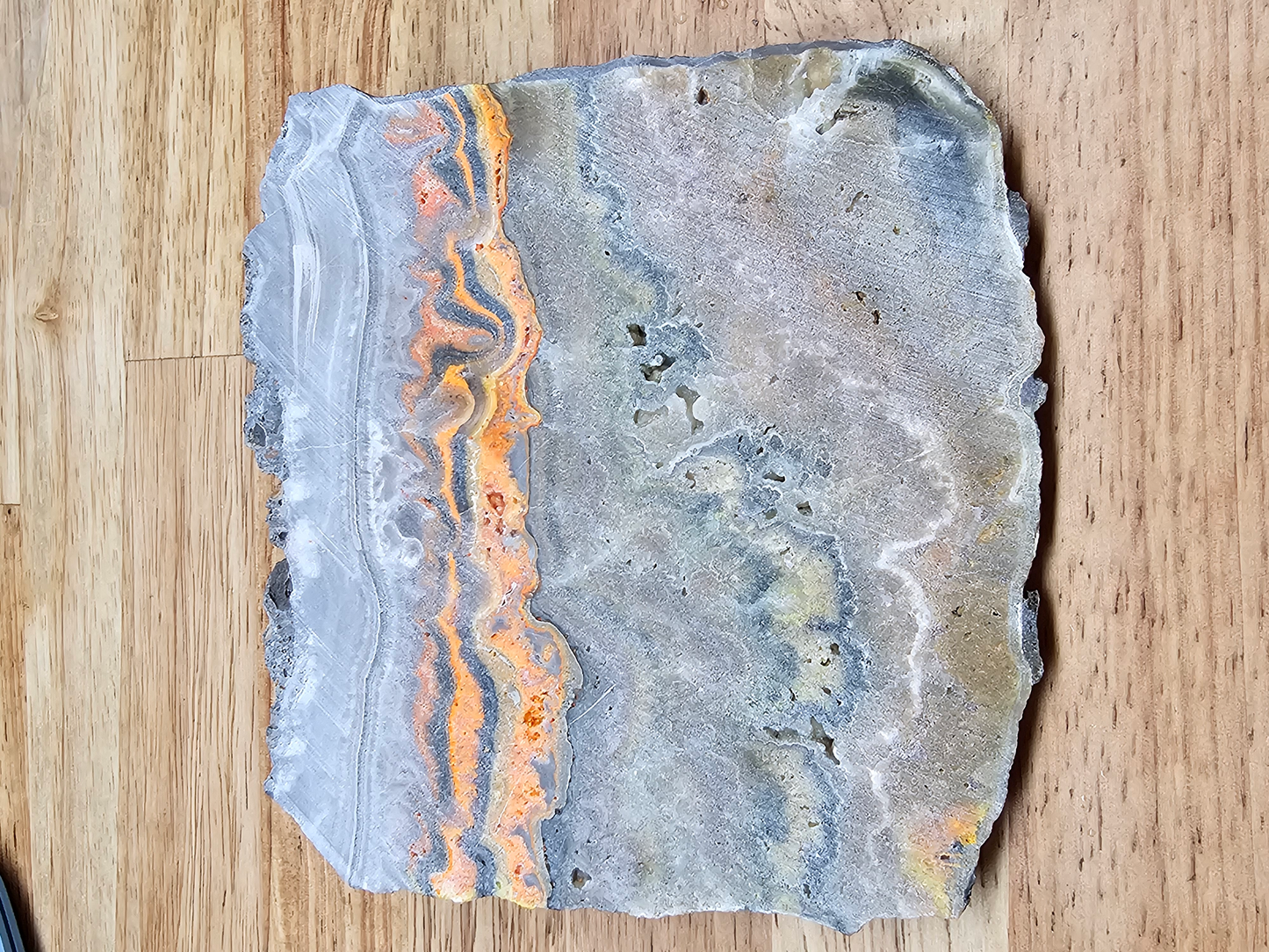 Bumble Bee Jasper JA-x-00172