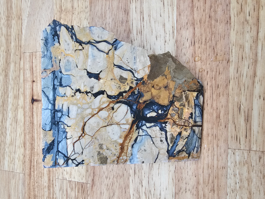 Pacific Coast Picasso OT-x-00282