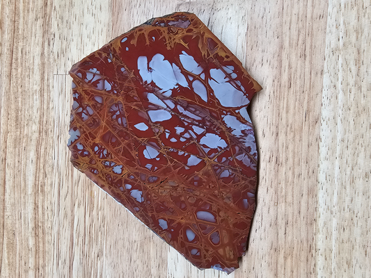 Noreena Jasper JA-00015-01