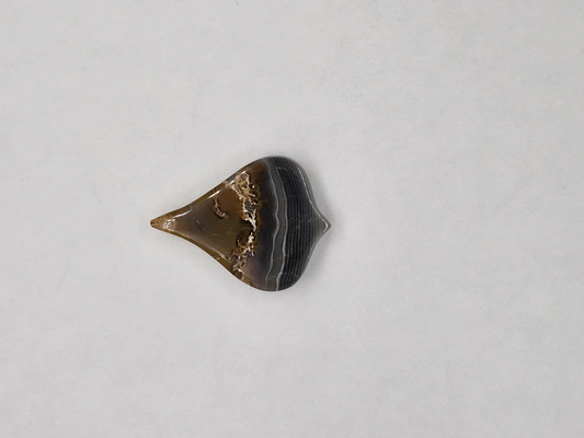 Timor Agate AG-x-x-00219