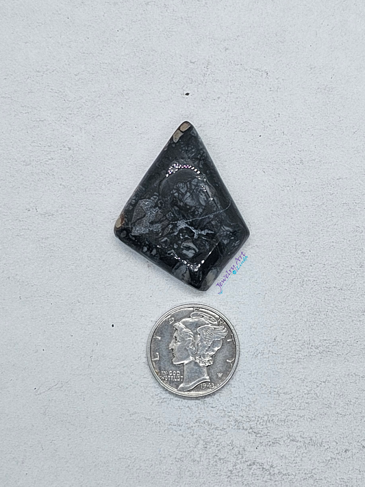 Pacific Coast Picasso OT-x-x-00129