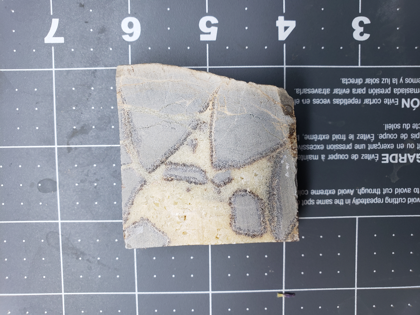 Septarian Nodule SN-x-00003