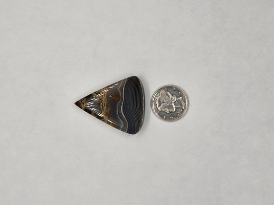 Timor Agate AG-x-x-00211