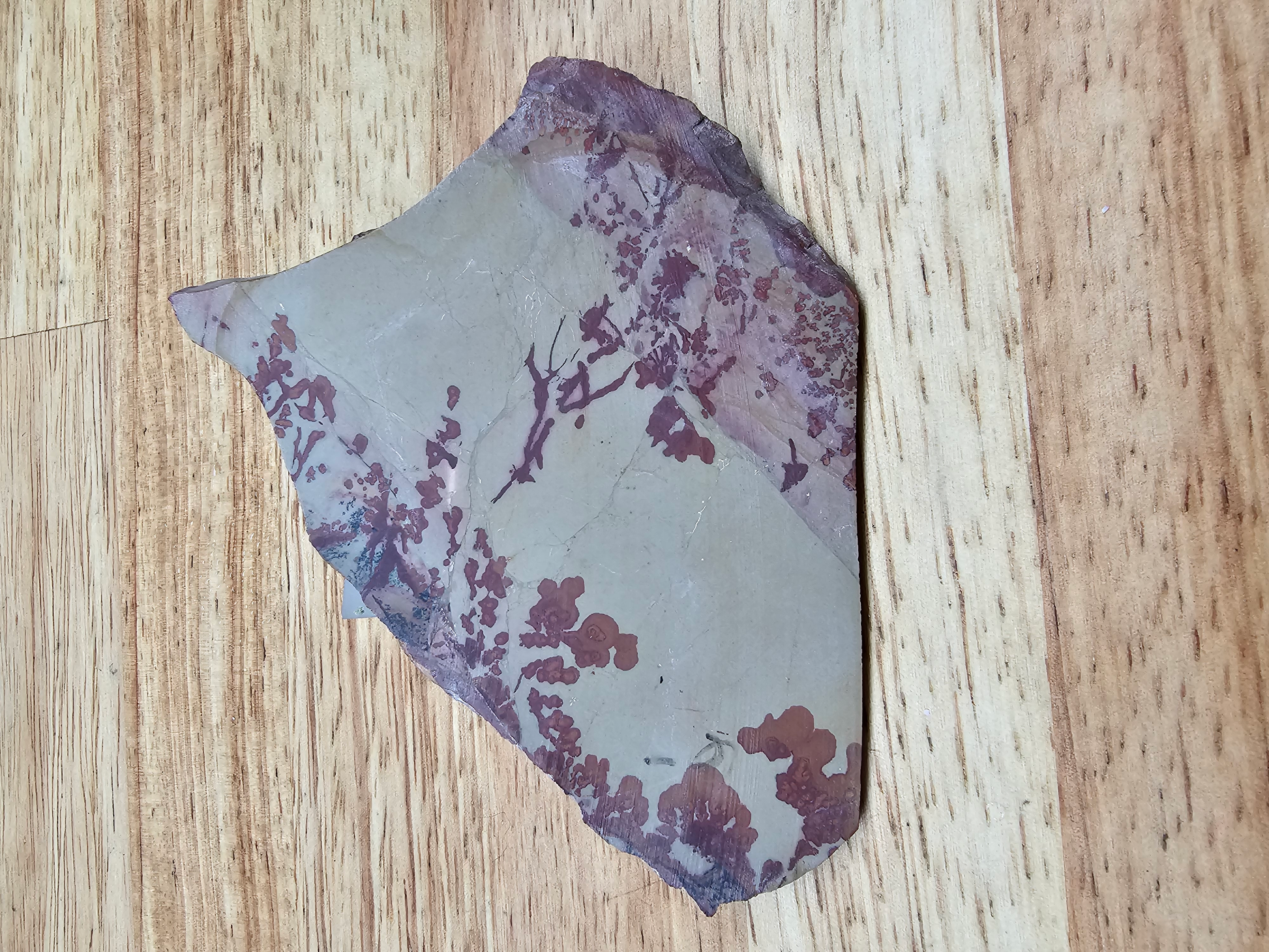 Owyhee Flower Jasper JA-x-00123
