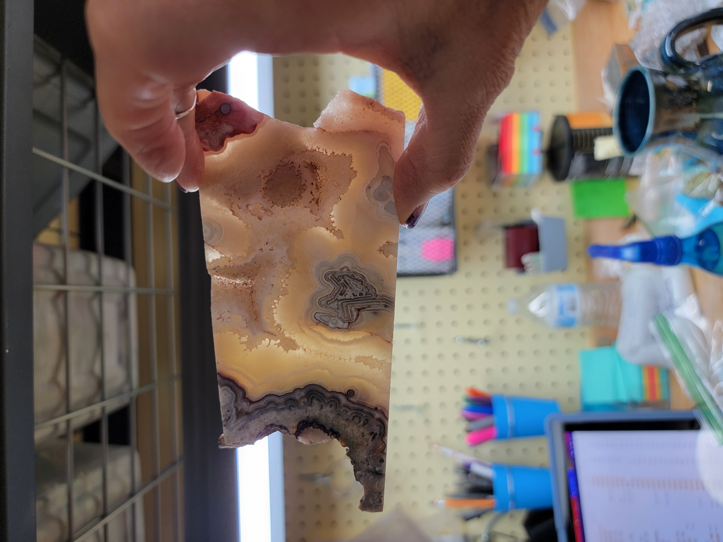 Crazy Lace Agate AG-x-00089