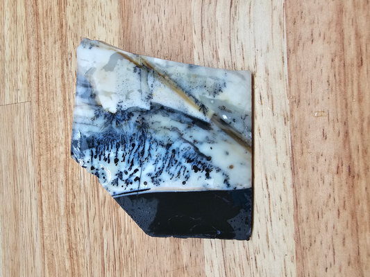 Mexican Parrarel Dendritic Agate AG-x-00136