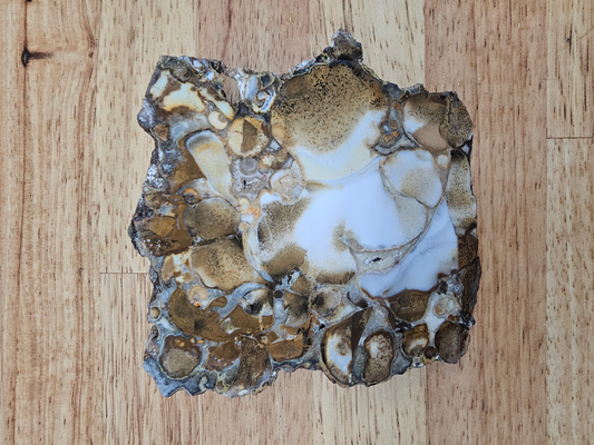 King Cobra Jasper JA-x-00150