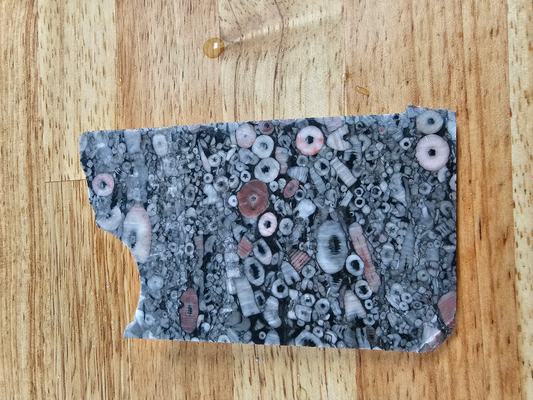 Crinoid Fossil Marble FS-x-00042