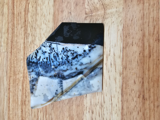 Mexican Parrarel Dendritic Agate AG-x-00136