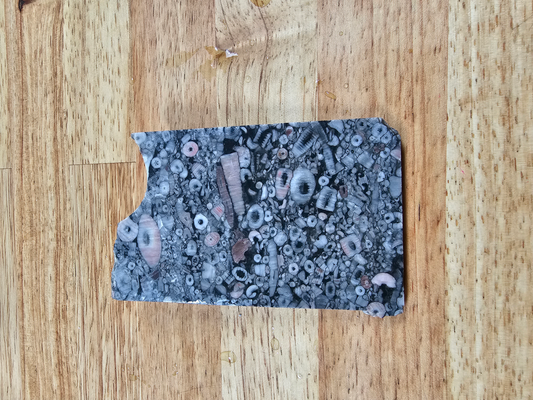 Crinoid Fossil Marble FS-x-00042