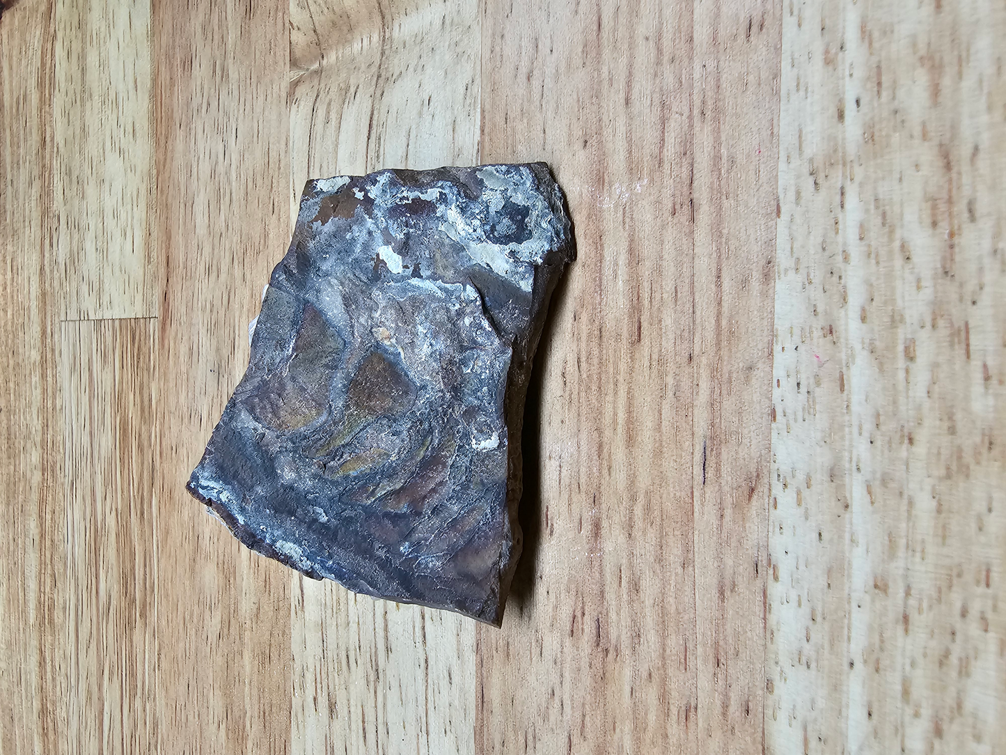 Jasper Biggs JA-x-00122