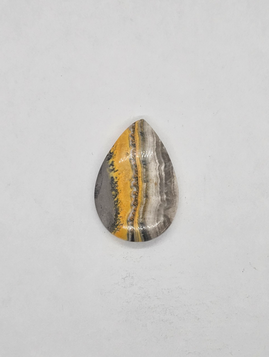 Bumble Bee Jasper JA-x-x-00139