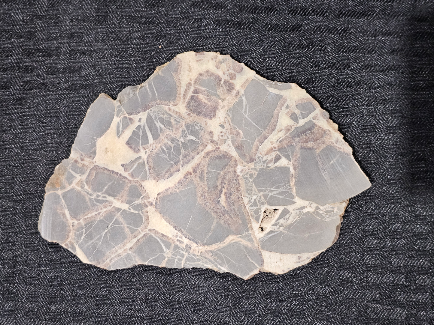 Septarian Nodule SN-x-00002