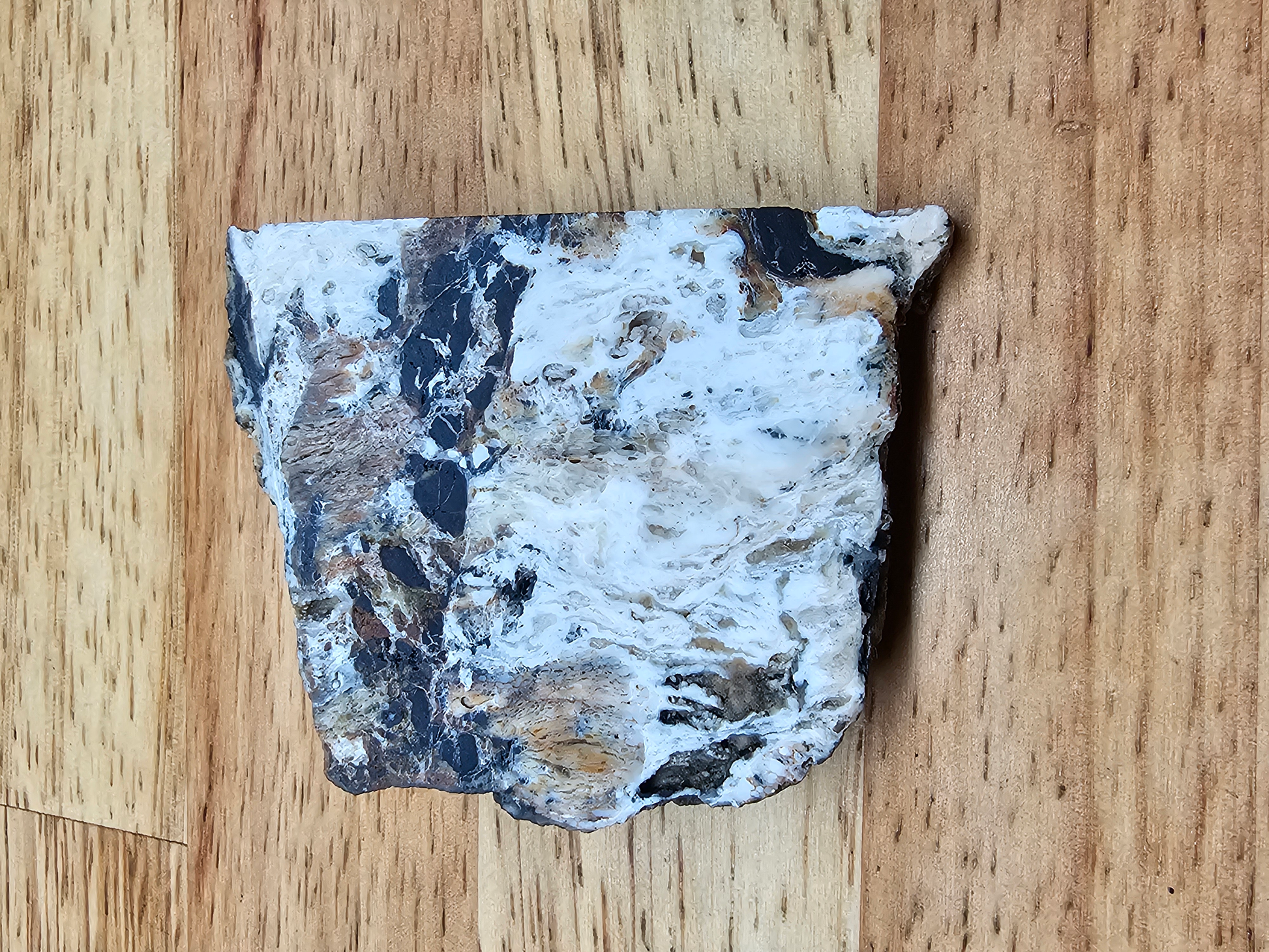 White Buffalo OT-x-00269