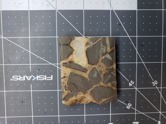 Septarian Nodule SN-x-00004