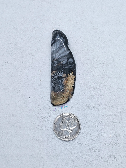 Pacific Coast Picasso OT-x-x-00128