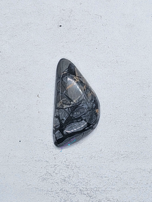 Pacific Coast Picasso OT-x-00204-05