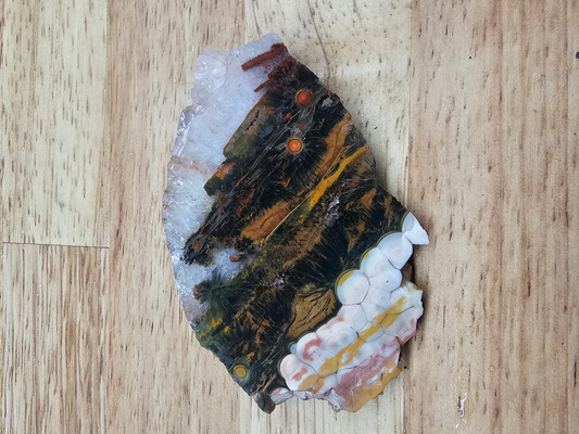 Kambaby OJ Jasper JA-x-00154