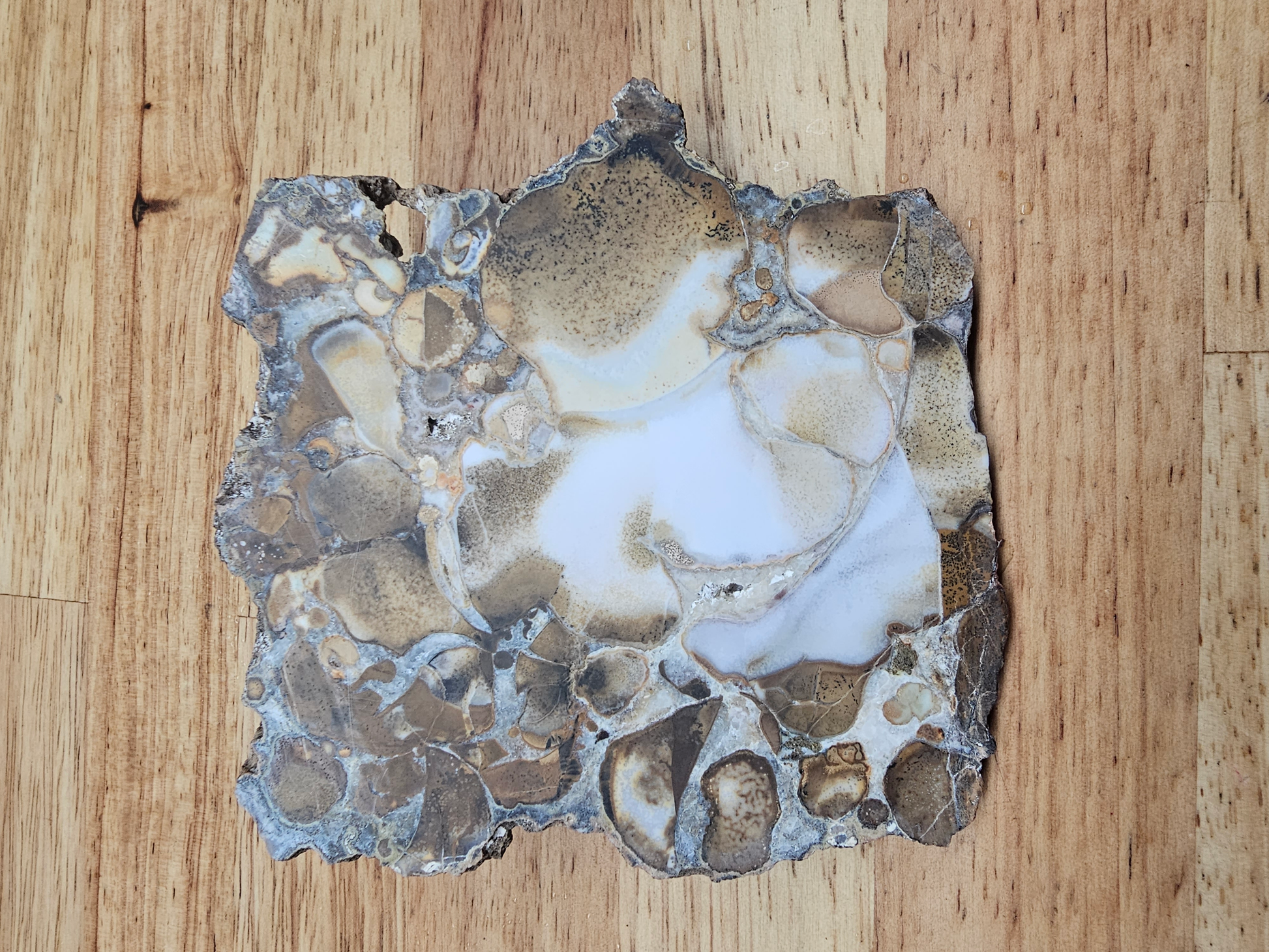 King Cobra Jasper JA-x-00150