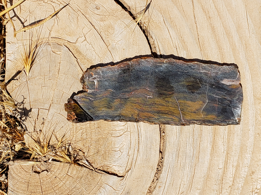 Petrified Wood PW-00004-05