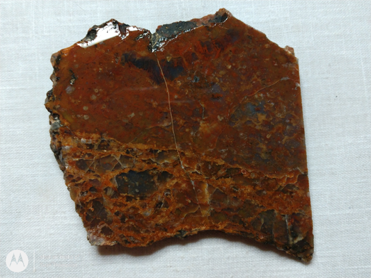 Petrified Wood PW-00006-02