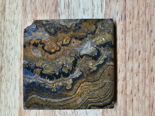 Stromatolite OT-x-00202