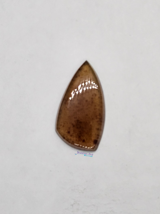 Baltic Amber FS-x-x-00148