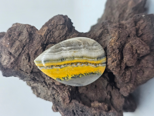 Bumble Bee Jasper JA-x-x-00139