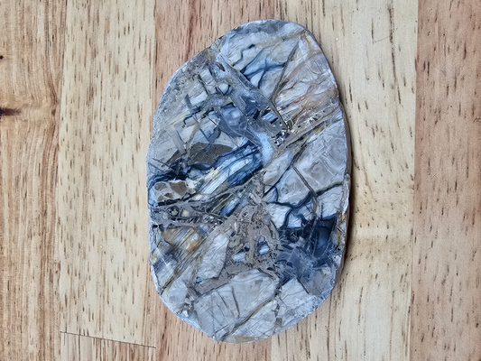 Pacific Coast Picasso OT-x-00281