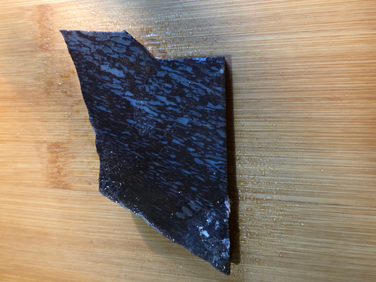 Dino Bone FS-x-00061