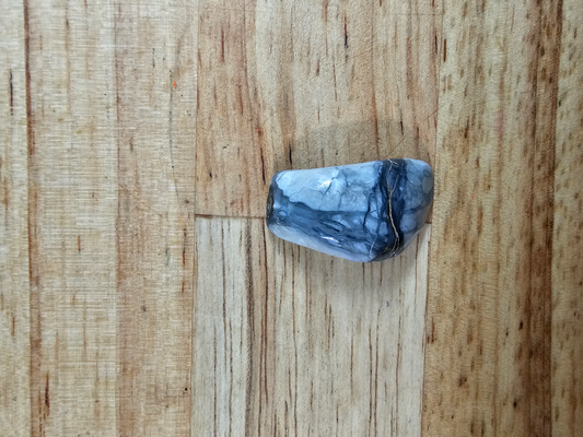 Pacific Coast Picasso OT-x-x-00125