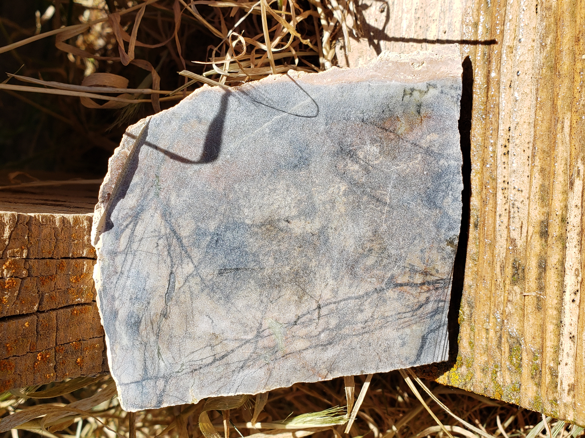 Picasso Marble PM-x-00006