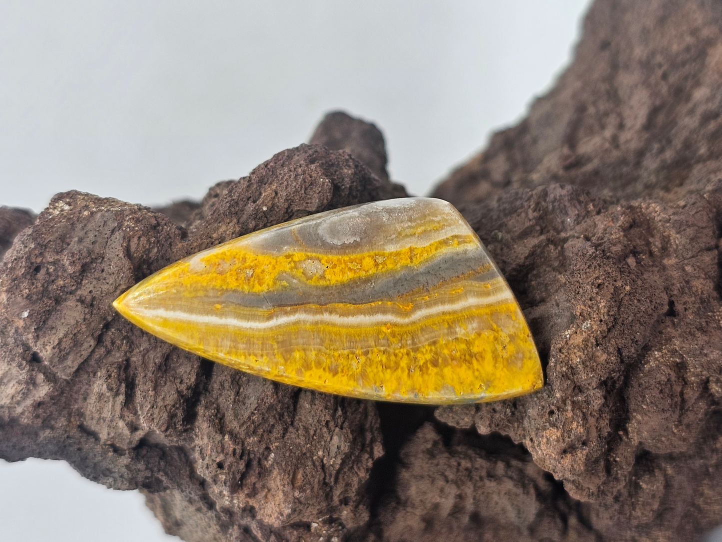 Bumble Bee Jasper JA-x-x-00140
