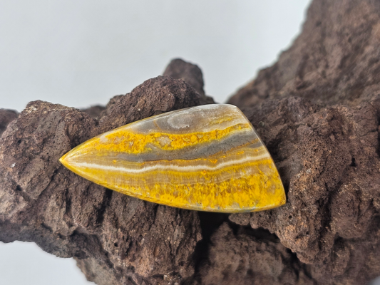Bumble Bee Jasper JA-x-x-00140