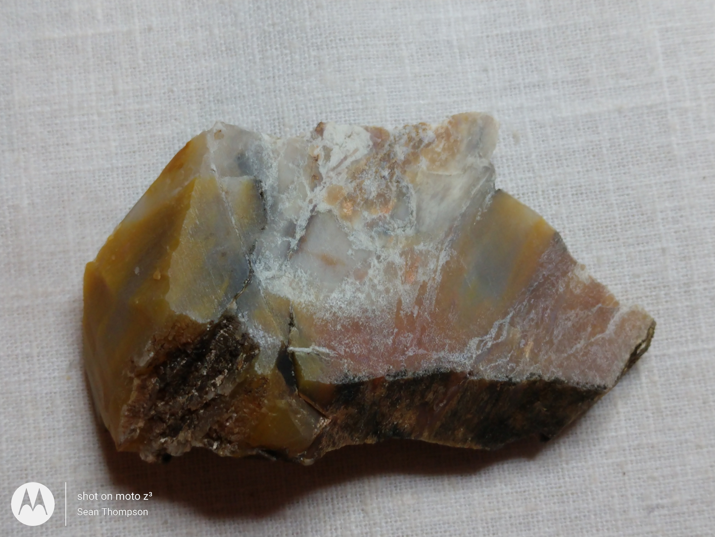 Petrified Wood PW-00007-02